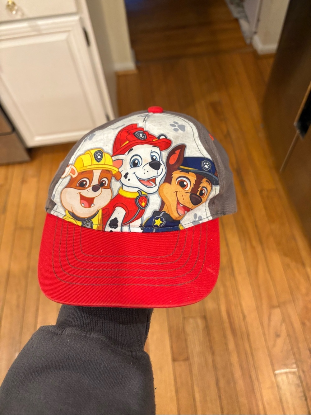Paw Patrol Hat